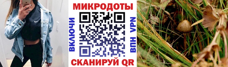Псилоцибиновые грибы Psilocybine cubensis  где найти наркотики  Саянск 